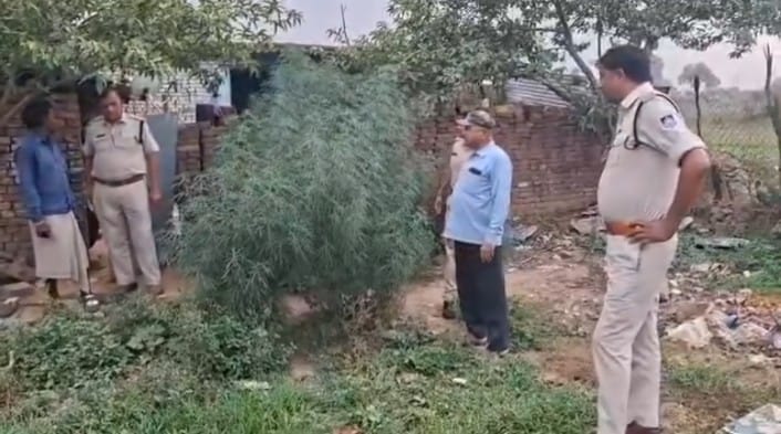 WhatsApp Image 2025 06 05 at 10.51.23 PM